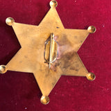 Badge: Solid brass Indian Service Police Apache Nation