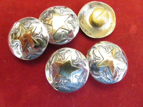 Conchos: Set of 5 Sterling 1" with Brass Star and Steer motif